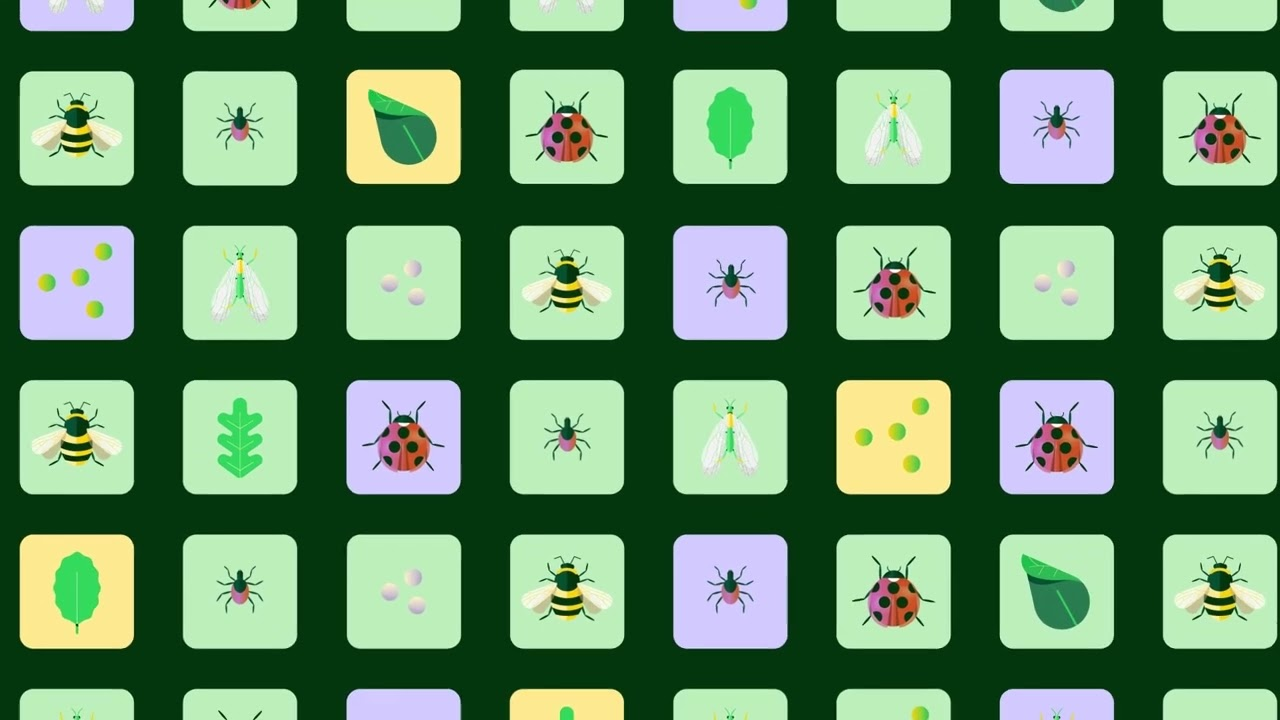 Día Internacional de la Diversidad Biológica ???? Día Internacional de la Diversidad Biológica ????