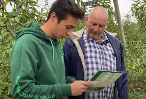 Using Capirel for healthy fruit orchards