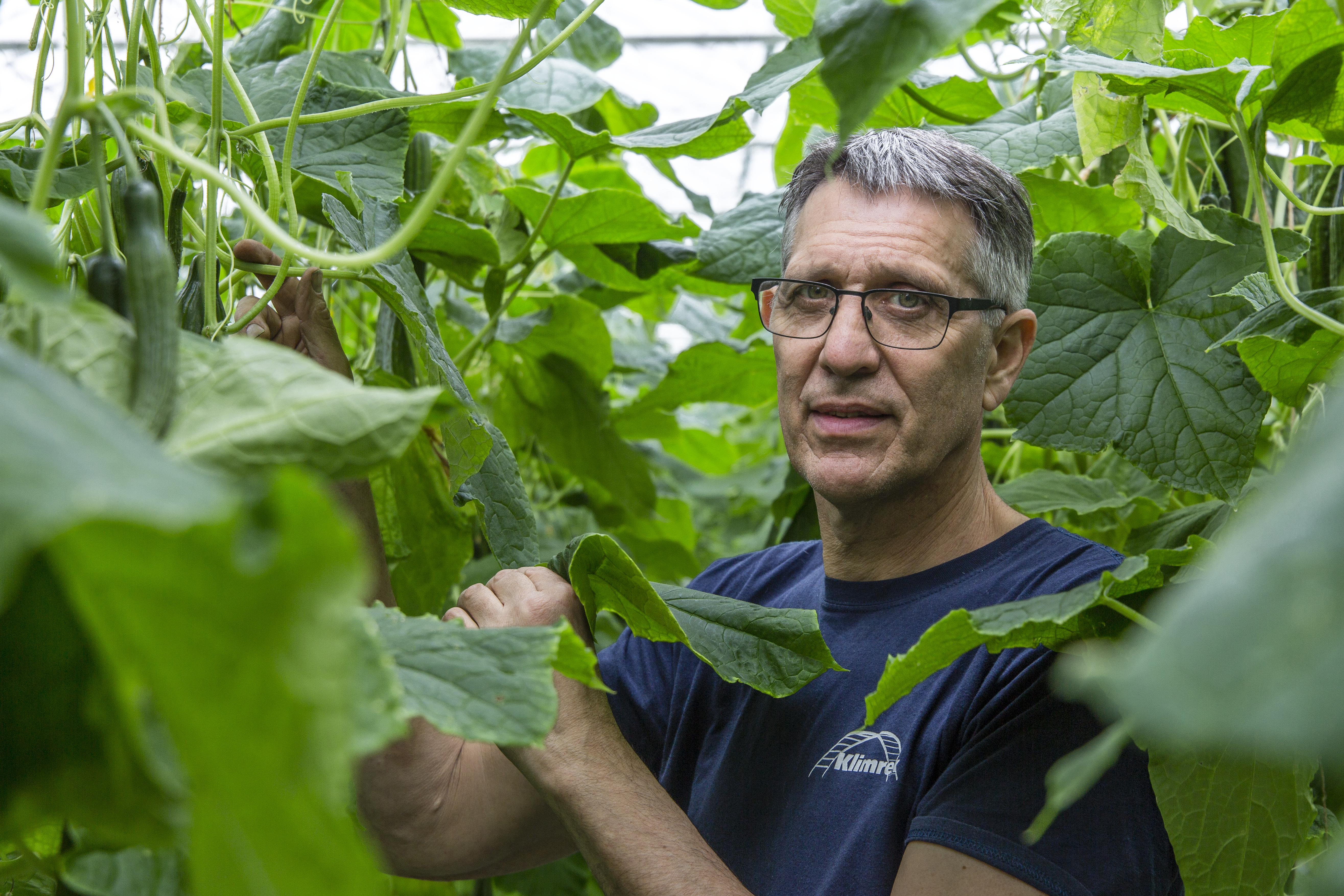 Spidex Vital lives up to its promises